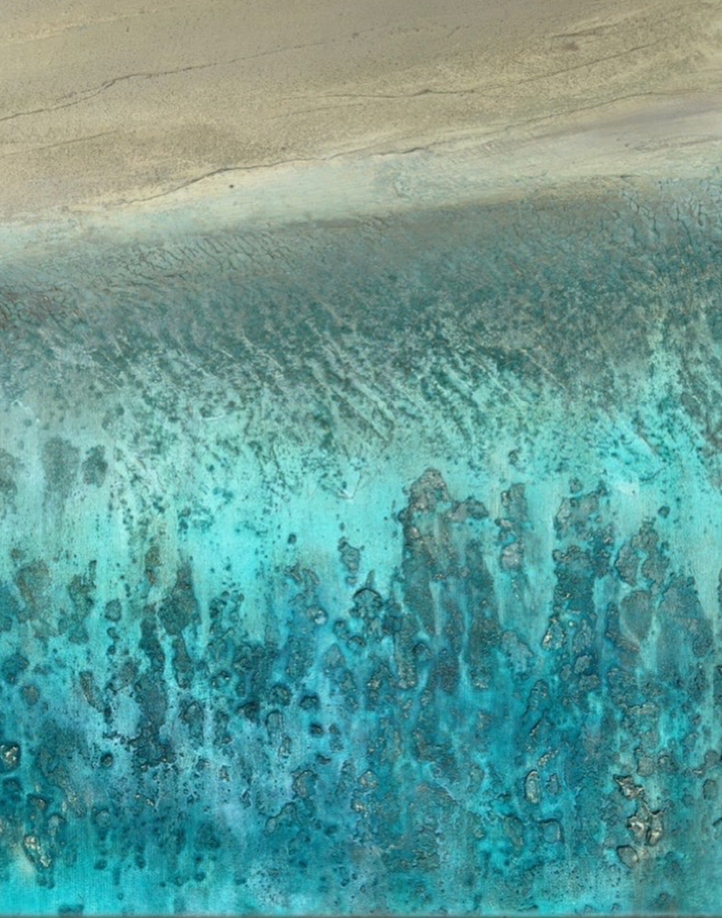 Turquoise Reef